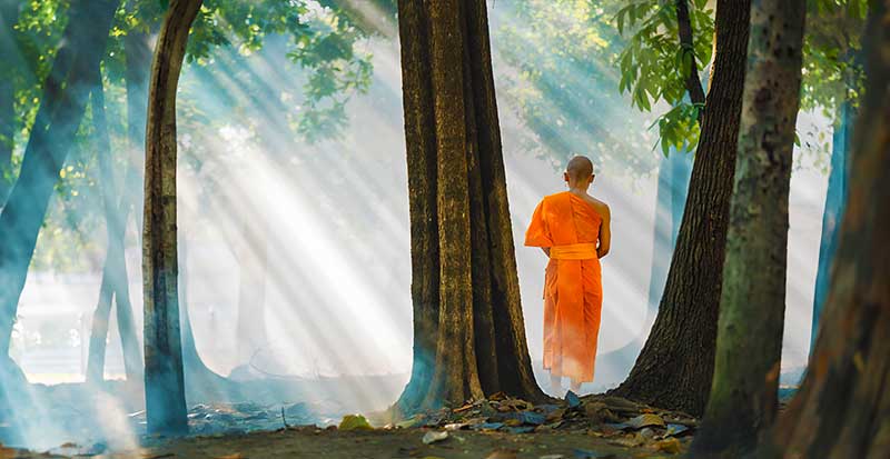 meditazione vipassana: Oggetti di meditazione in vipassana